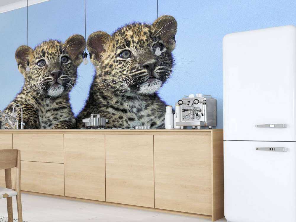Små leoparder