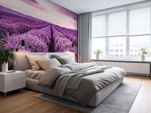Lavendel buske