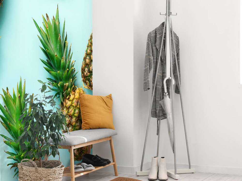 Ananas