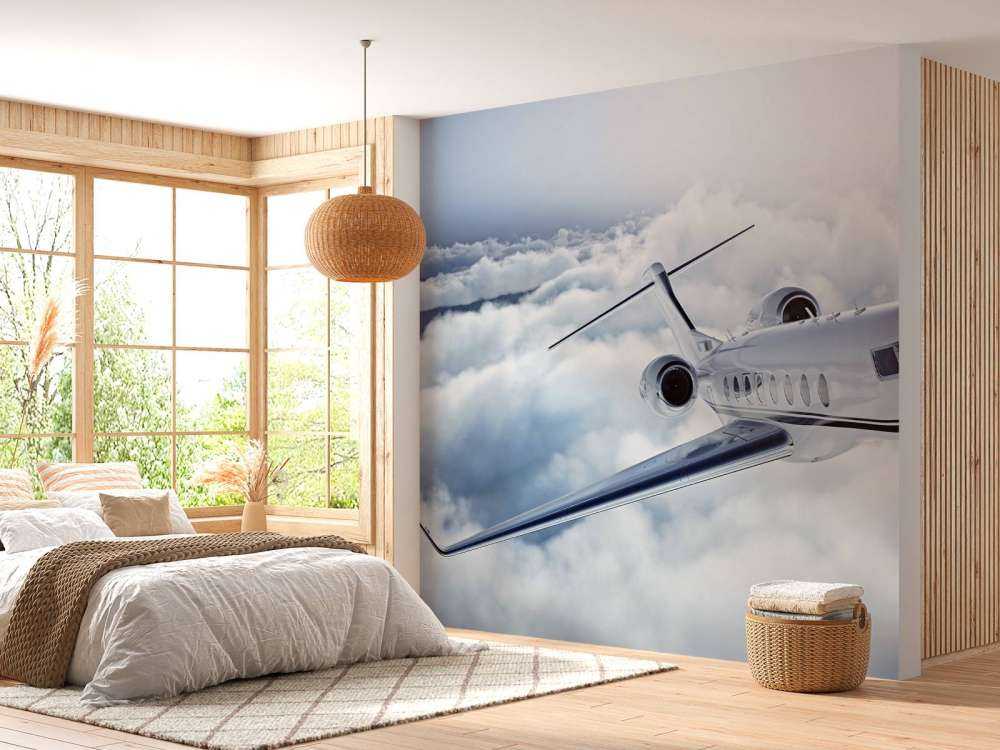 Privat fly i luften