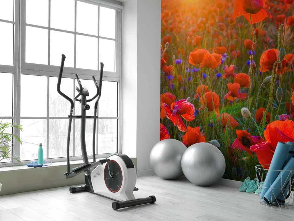 Valmuer med stigende sol