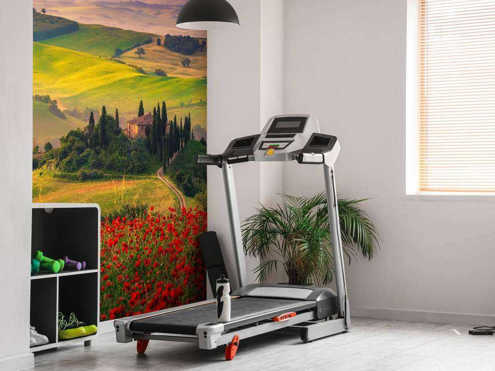 Røde valmuer med italiensk landskab