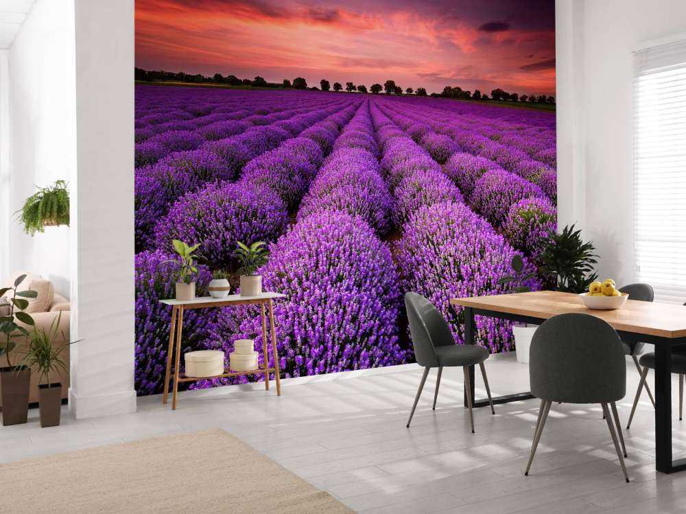 Lavendel felt