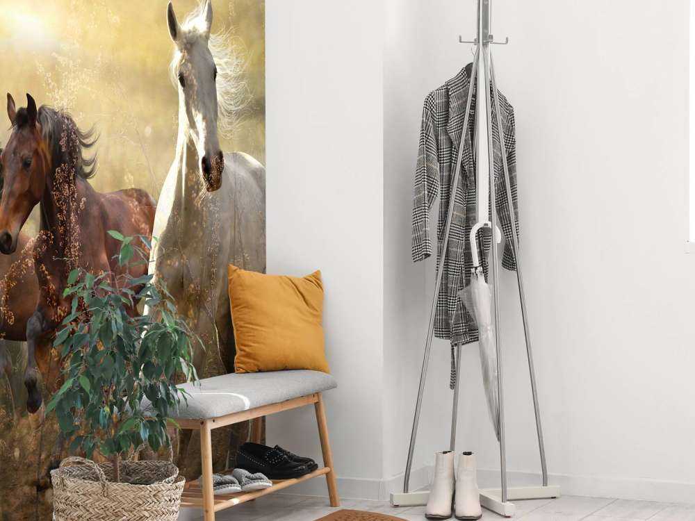 Galopperende heste ved solnedgang