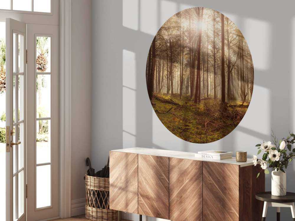 Skov med høje træer