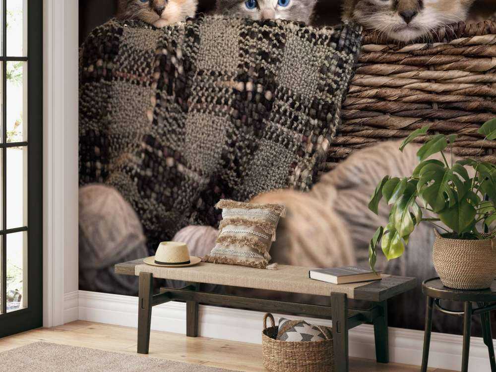 Tre killinger i en kurv