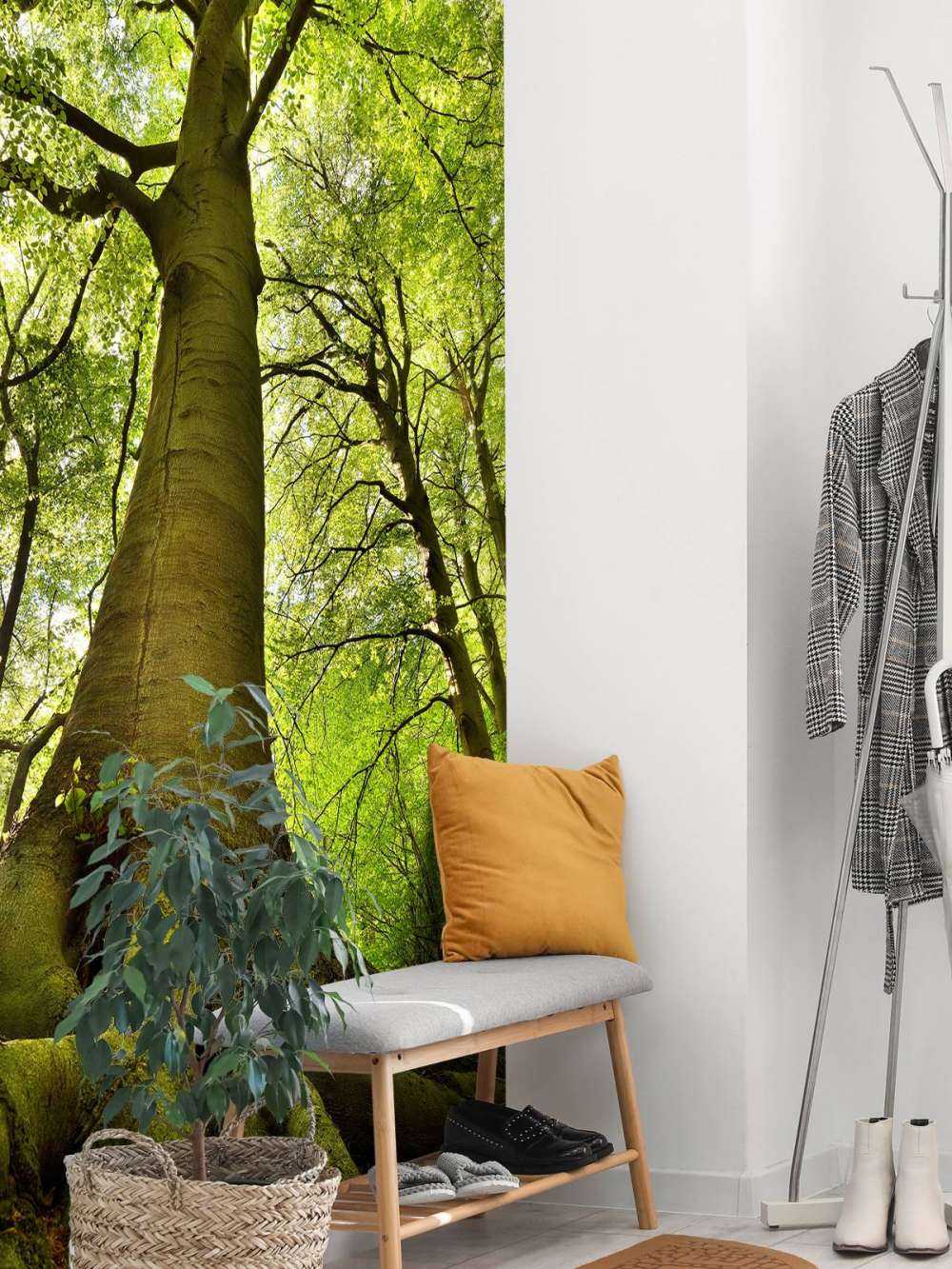 Stort træ og rødder