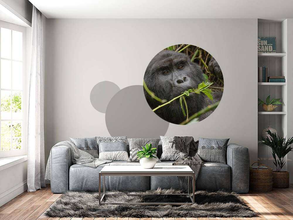 Gorilla mellem grenene