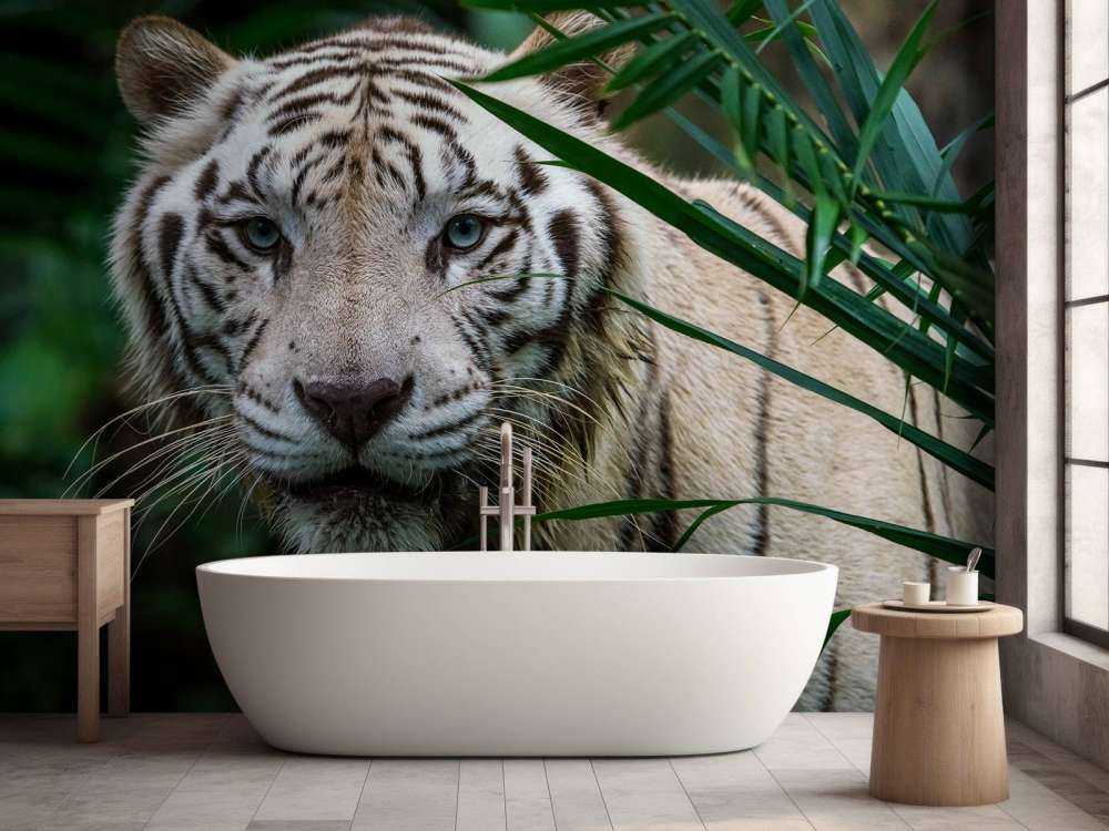 Hvid tiger