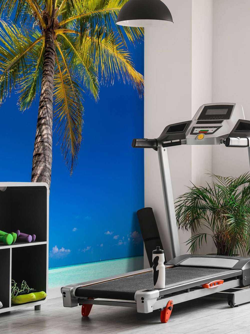 Palme på maldiverne