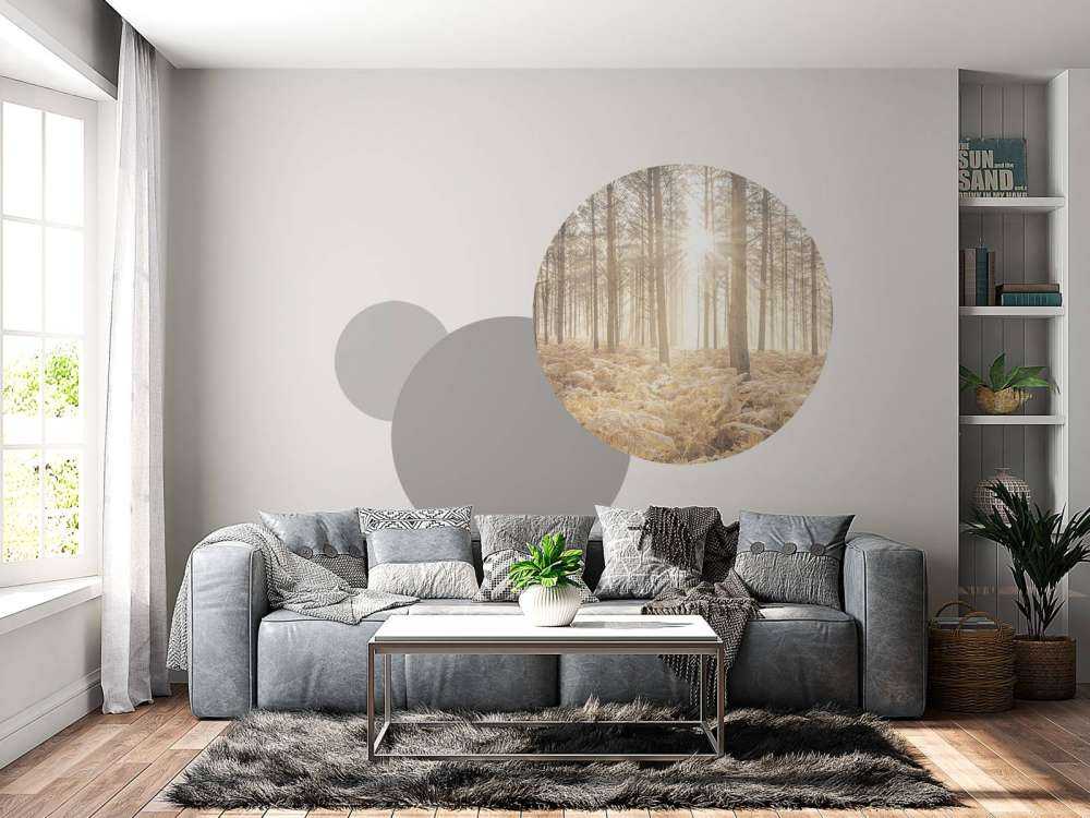 Solstråler i den kolde skov