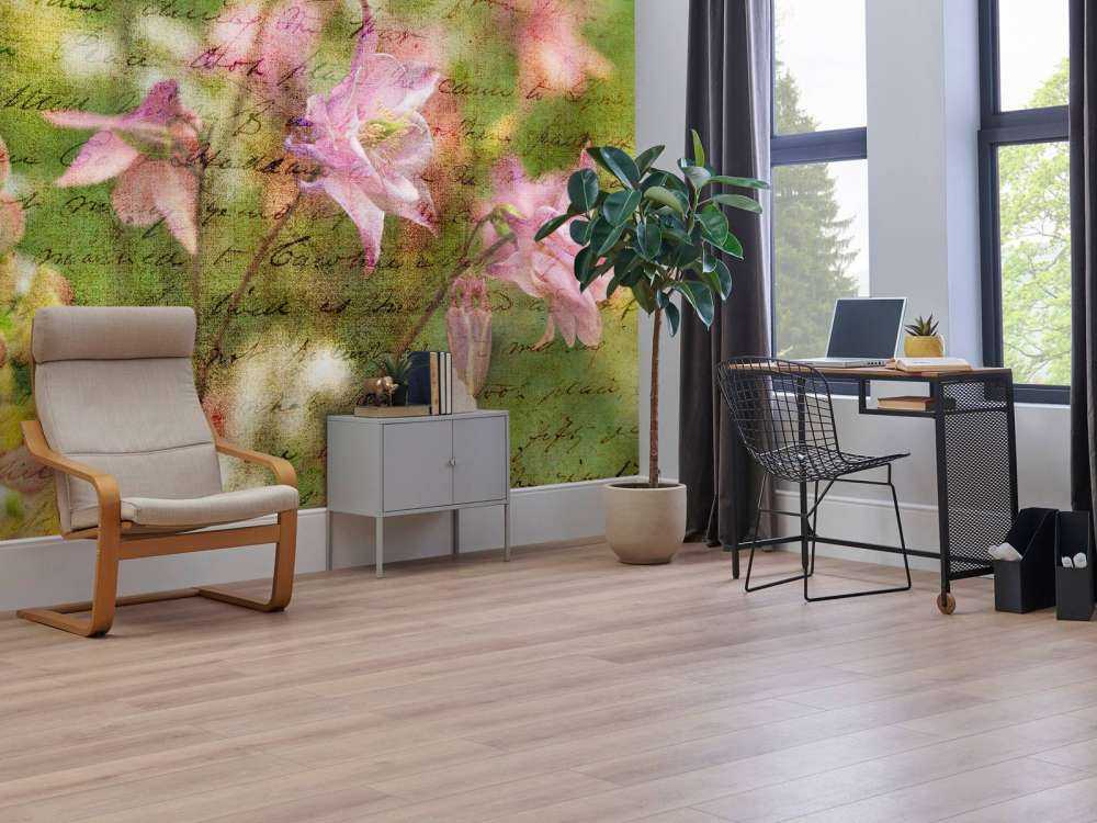 Colorful Aquilegia flowers on plants in garden