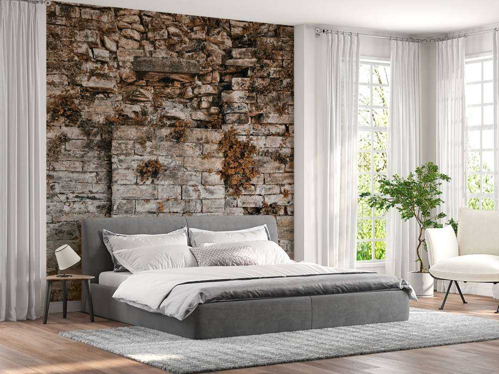 Vegetationsklædt væg om efteråret