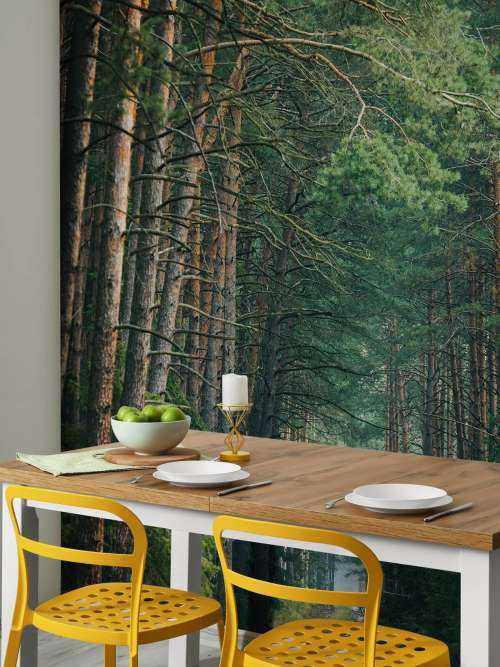 The Forest road 3