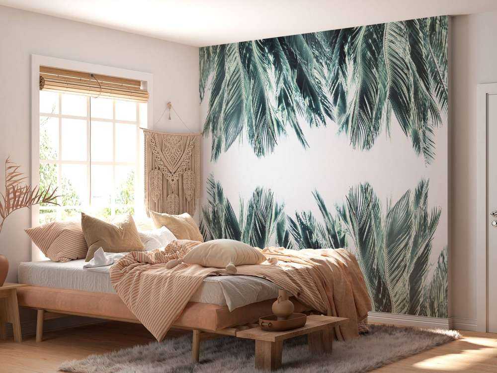 Palme blade på hvid baggrund