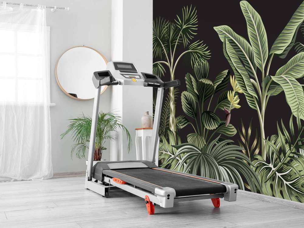 Tropisk palme på mørk baggrund