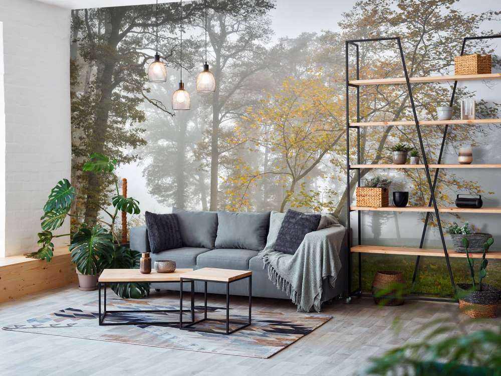 Græsmark med træer og tåge