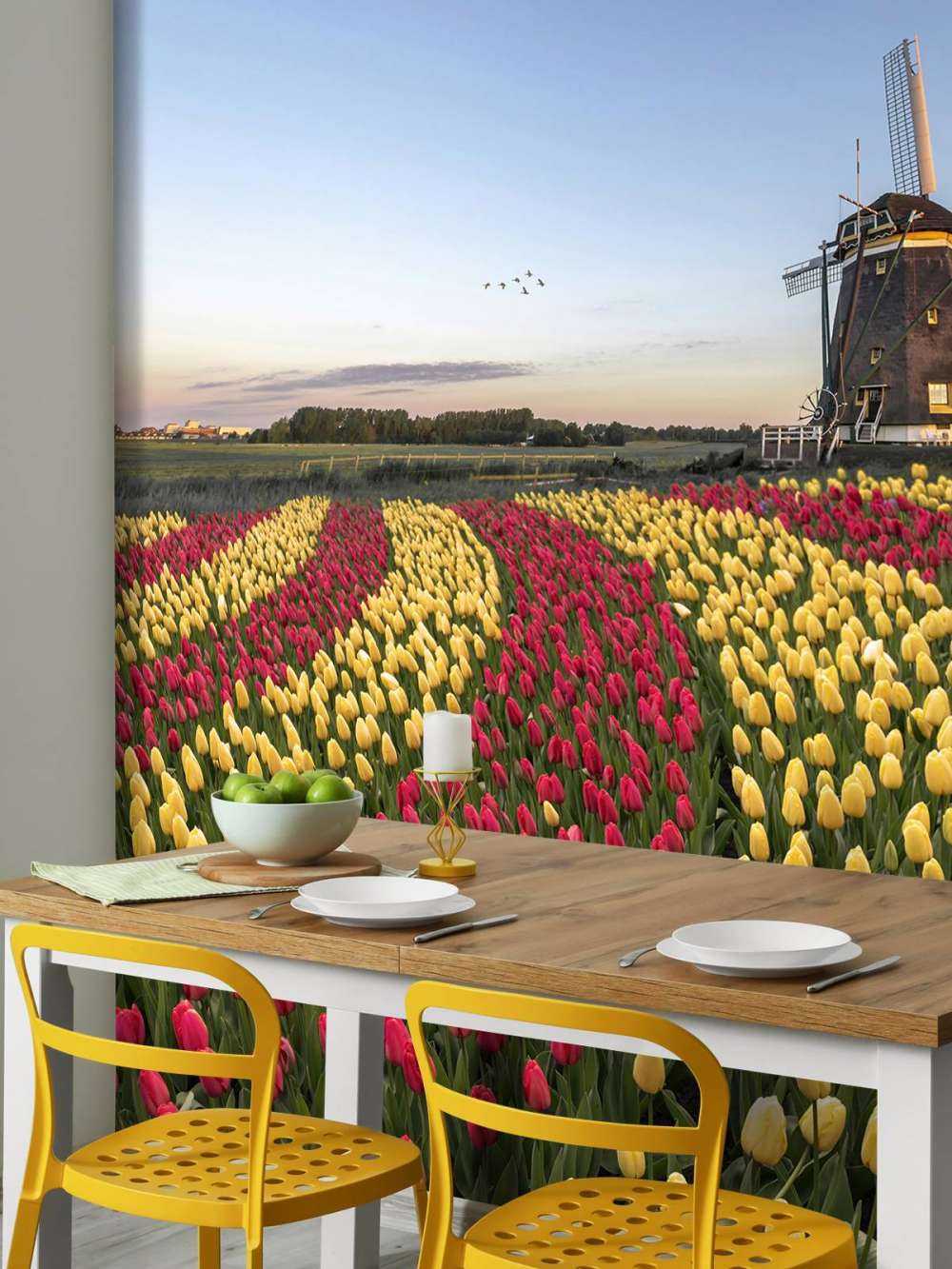 Hollandsk tulipanmark