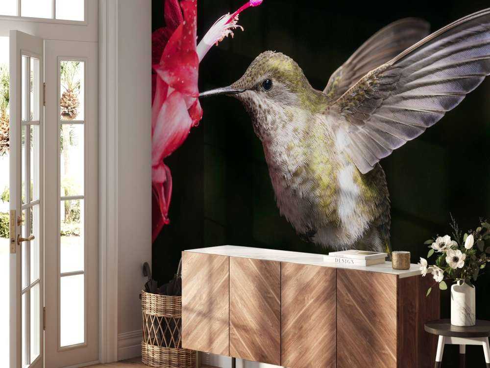 Kolibri med rød blomst