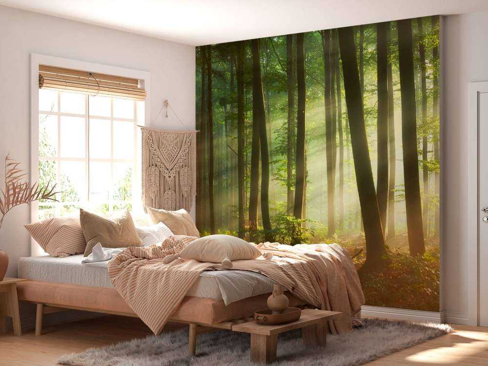 Morgonsol blockerar träden