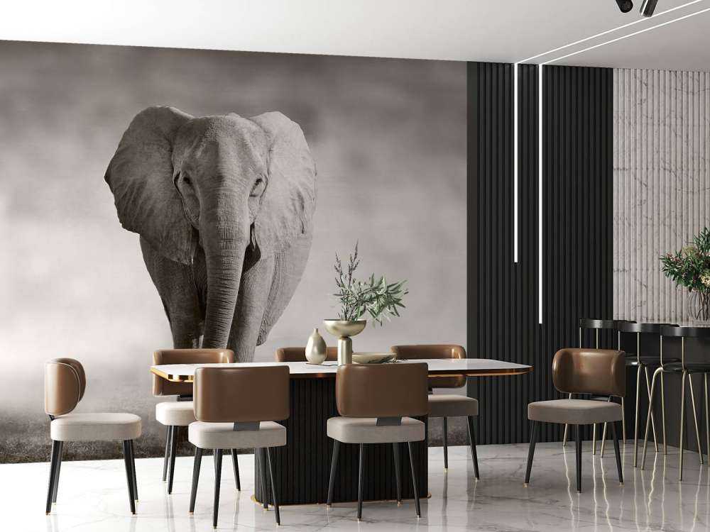 Vacker elefant