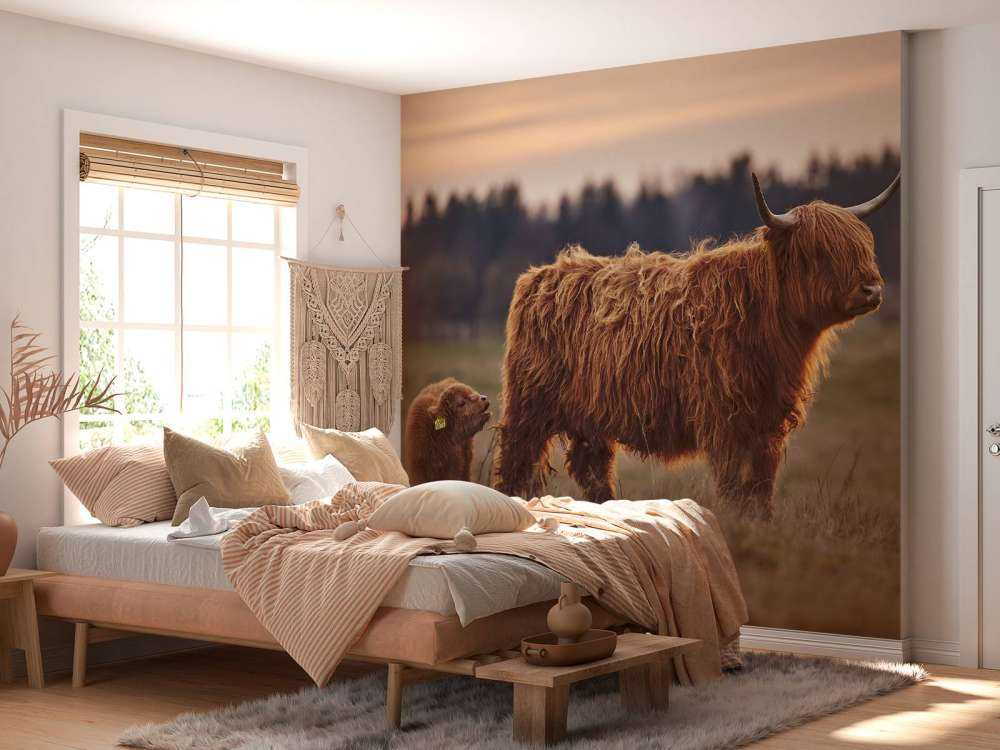 Skotsk hoglandare i ängen