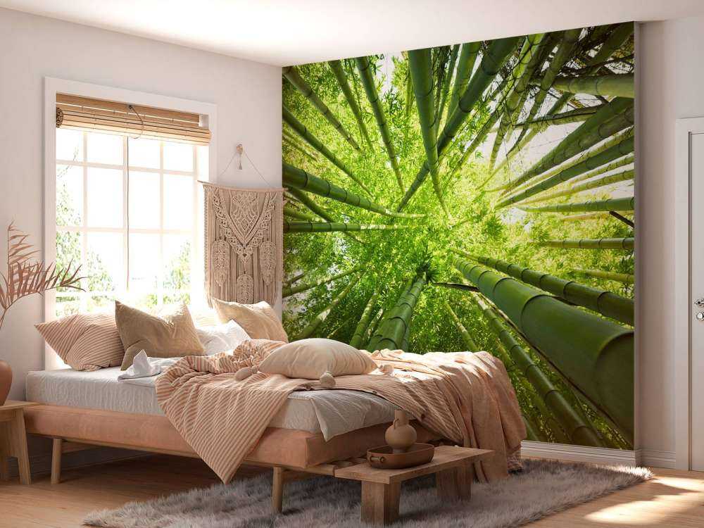 Bambu