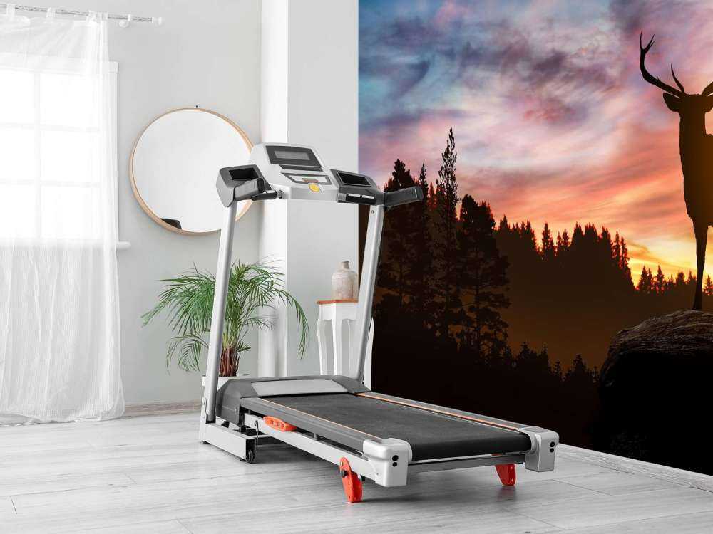 Rådjur i solnedgången