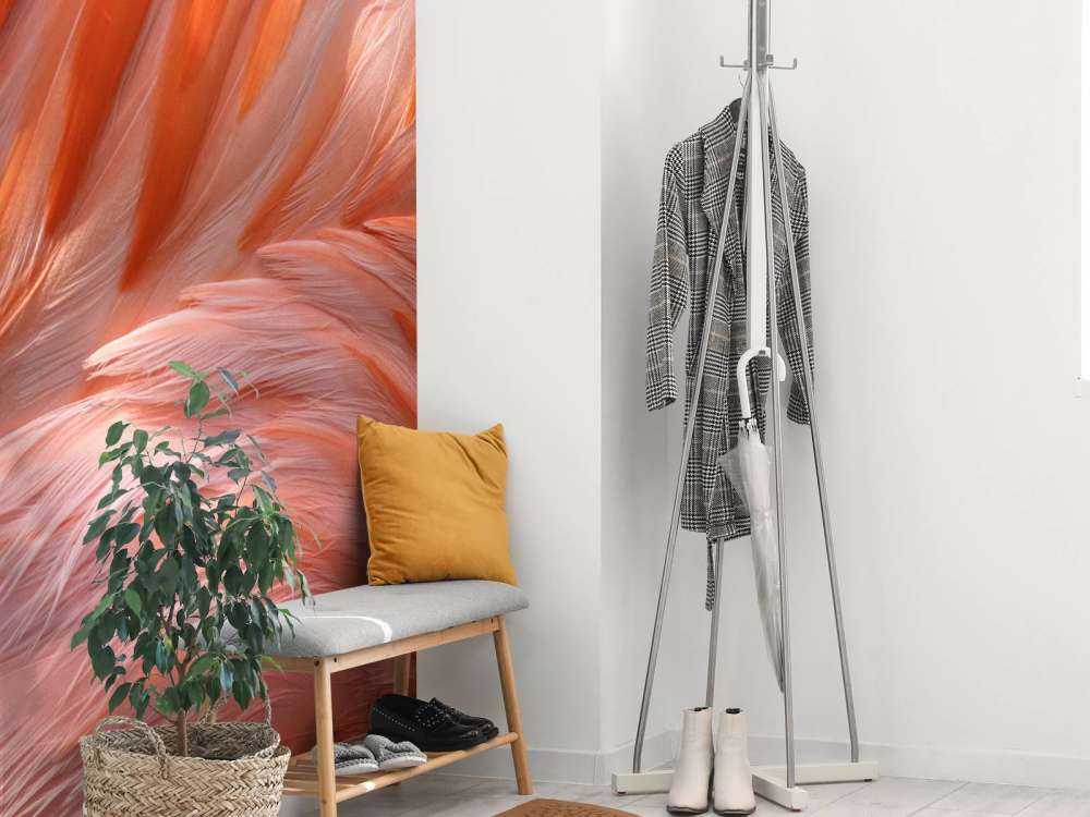 Flamingo fjädrar