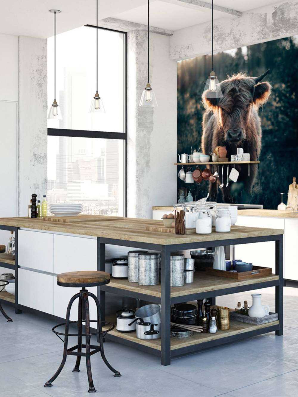 Young Scottish highlander