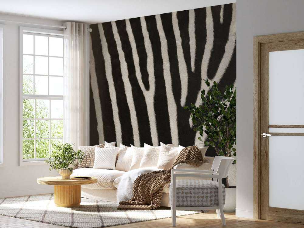 Zebrapäls