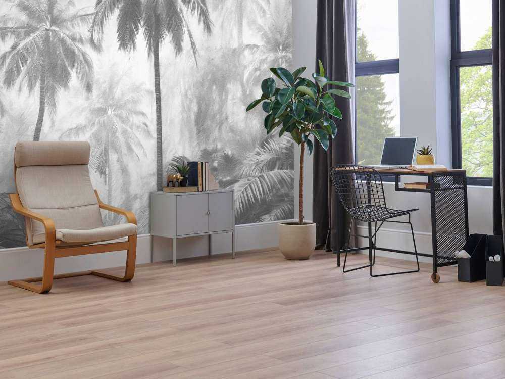 Dimma Palmskog