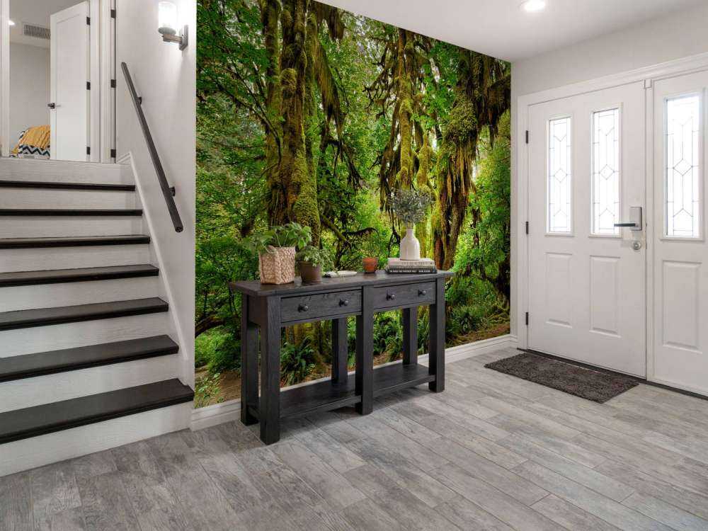 Gammal vildmarksskog