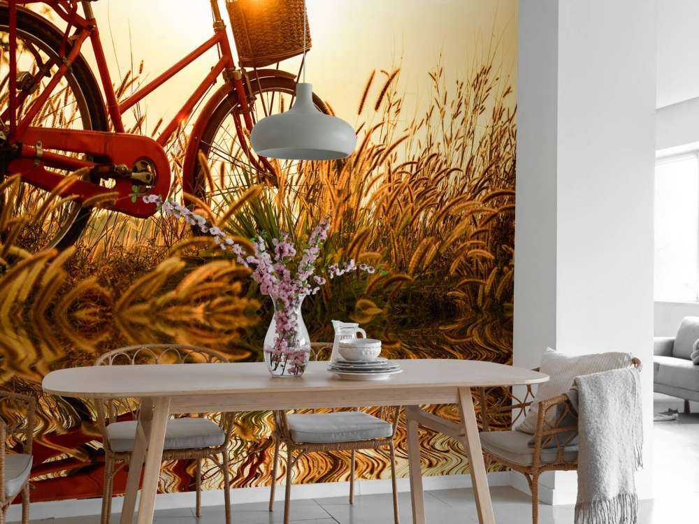 Cykel i solnedgången