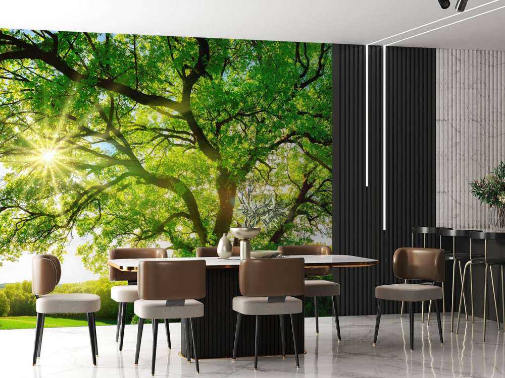 Träd med solstrålar