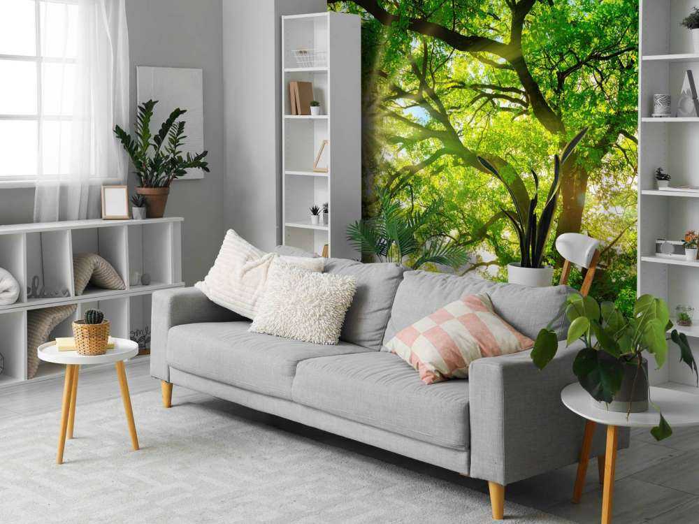 Träd med solstrålar