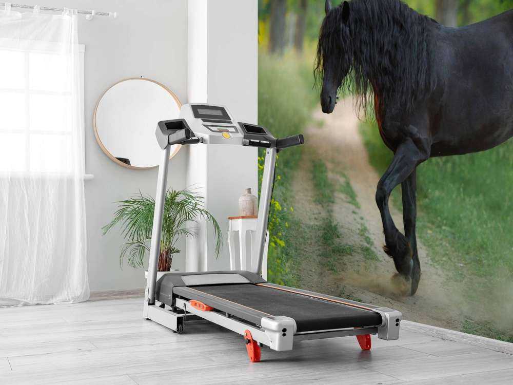 Skisserade enhörningar