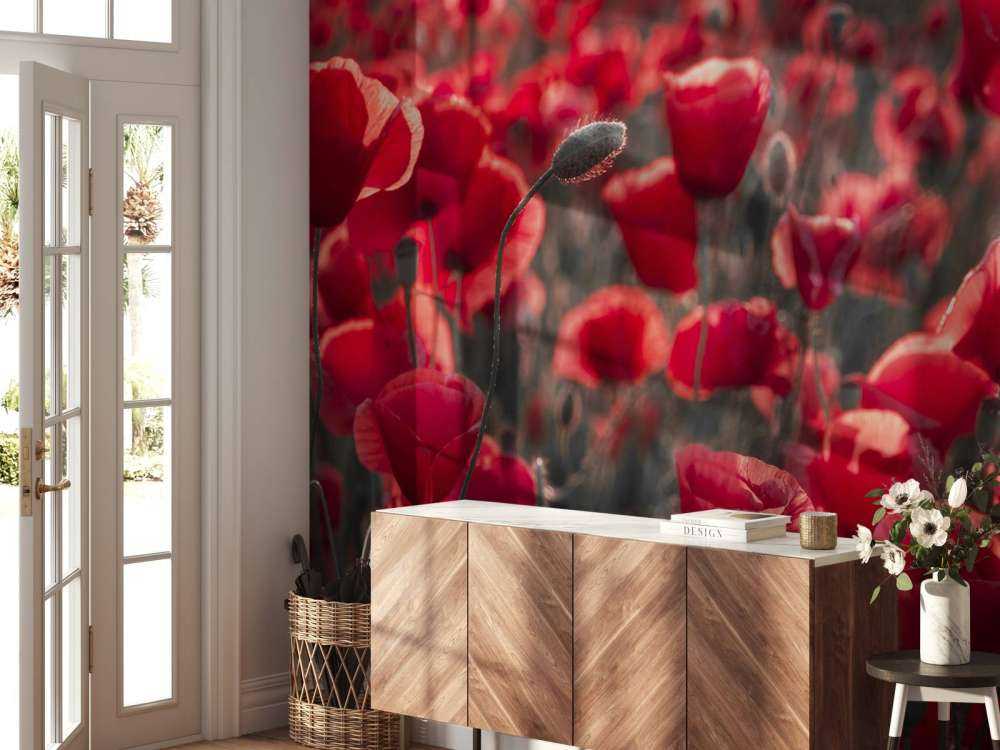 Vallmor i mörk stil