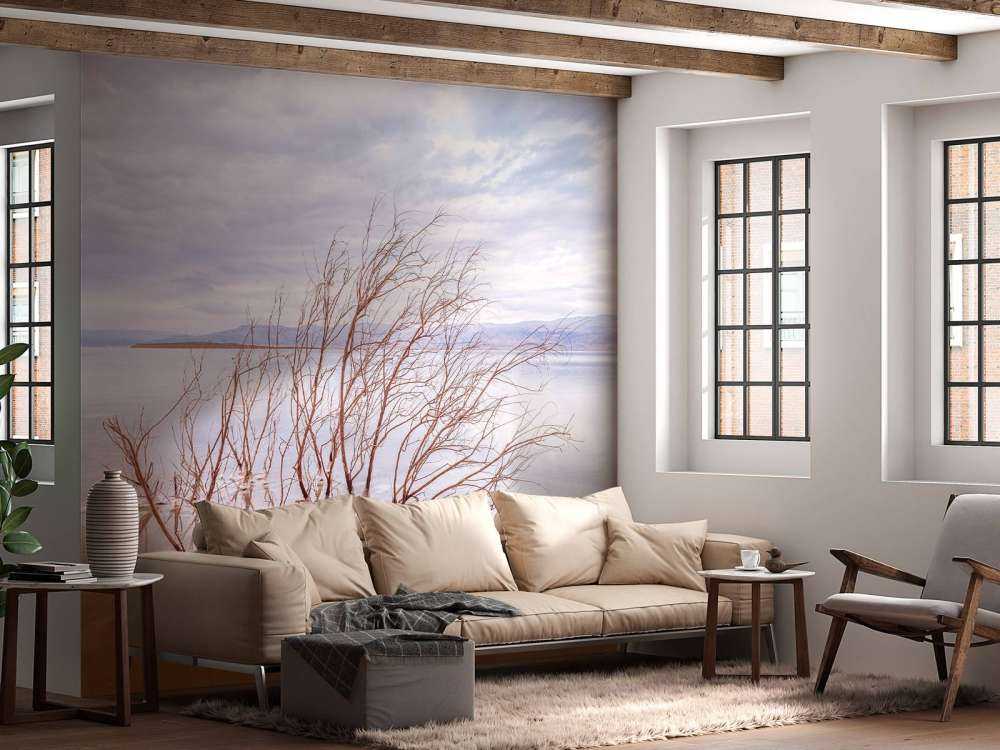 Grenar i Döda havet