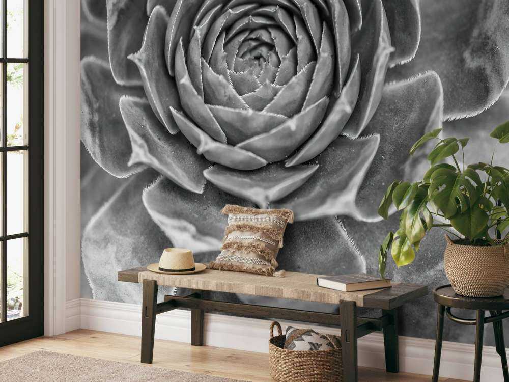 Närbild av saftiga växter