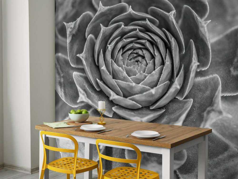 Närbild av saftiga växter