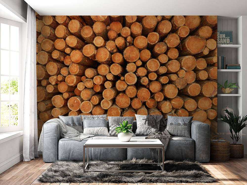 Haug med mørke trestammer