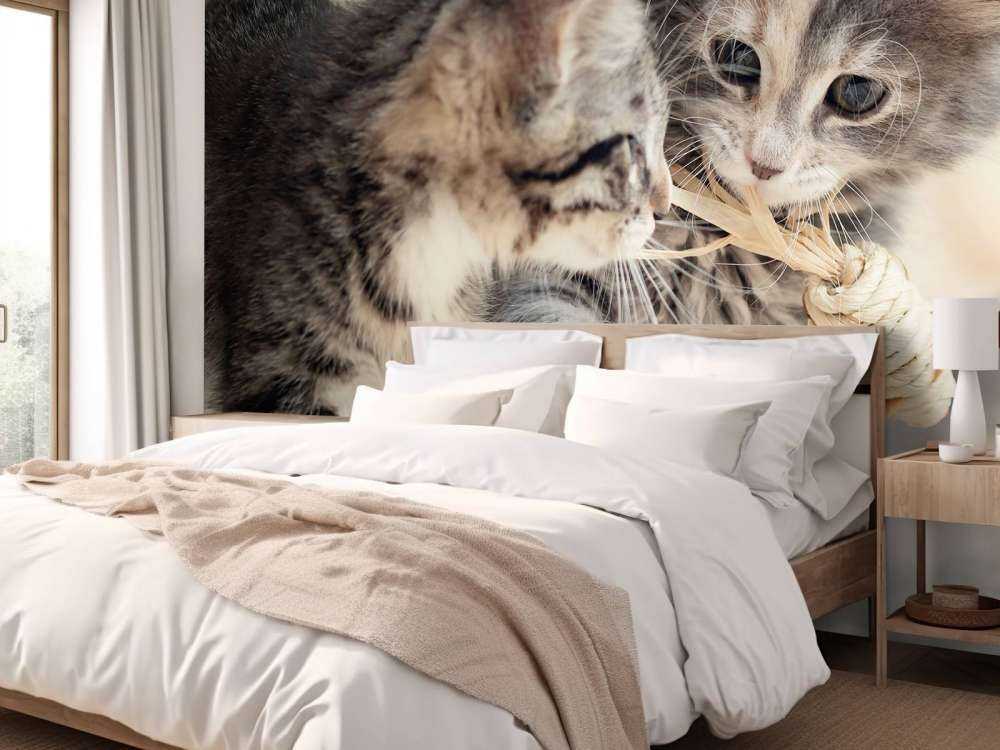Leker kattunger
