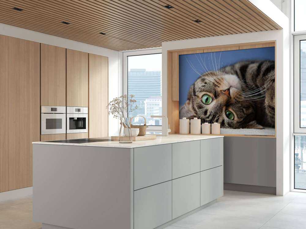 Rullende katt