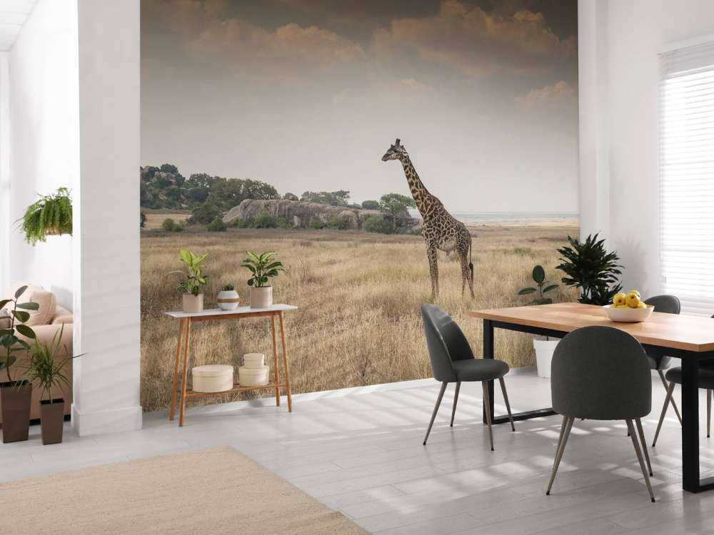 Giraffe på en savanne