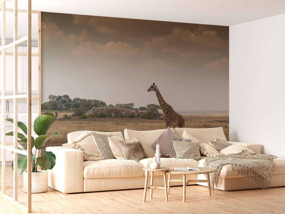 Giraffe på en savanne