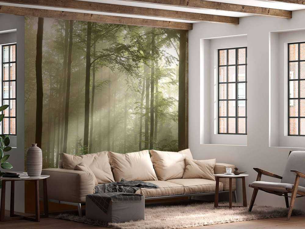 Grønn skog i tåken