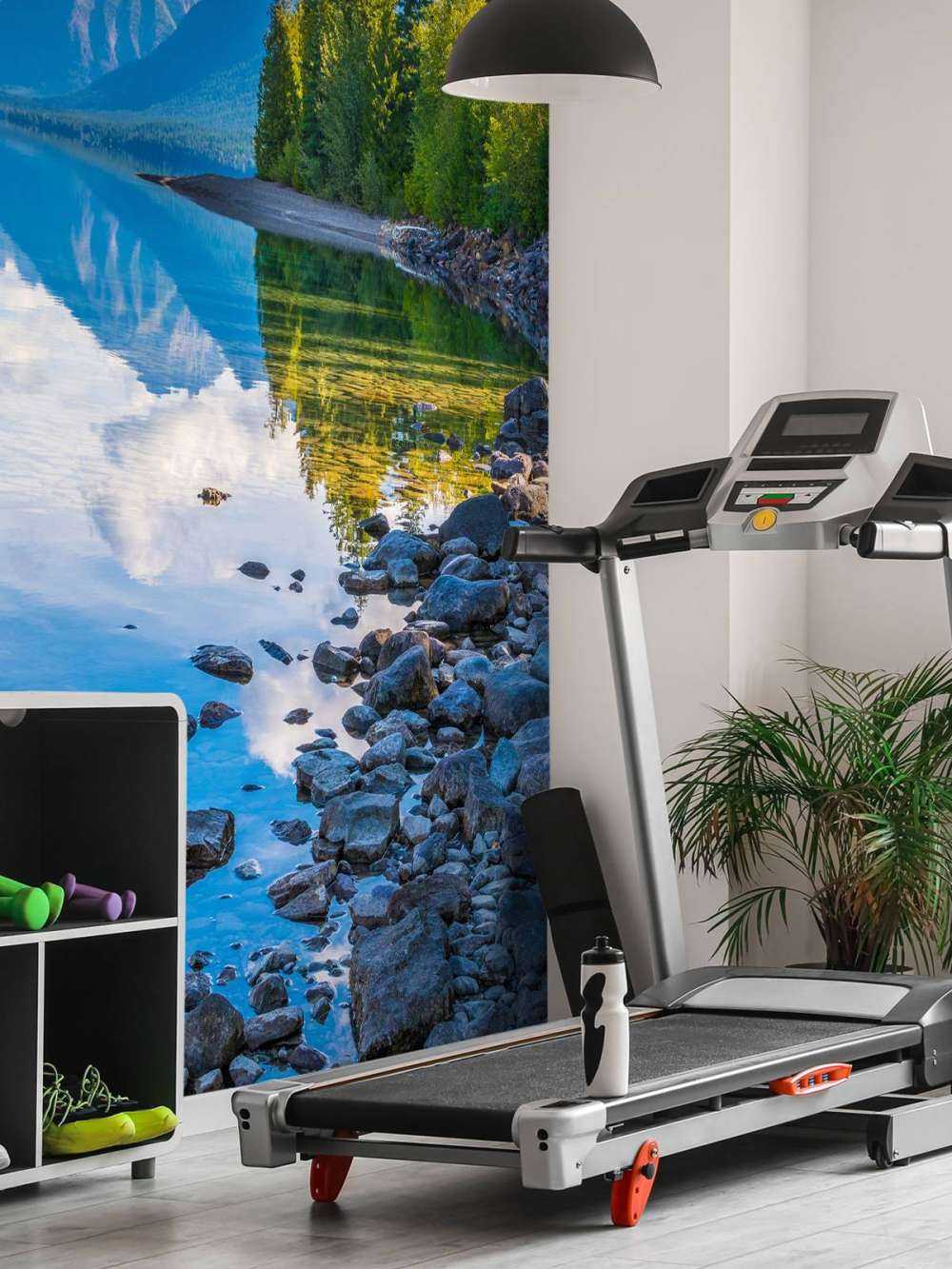 Innsjø og fjell