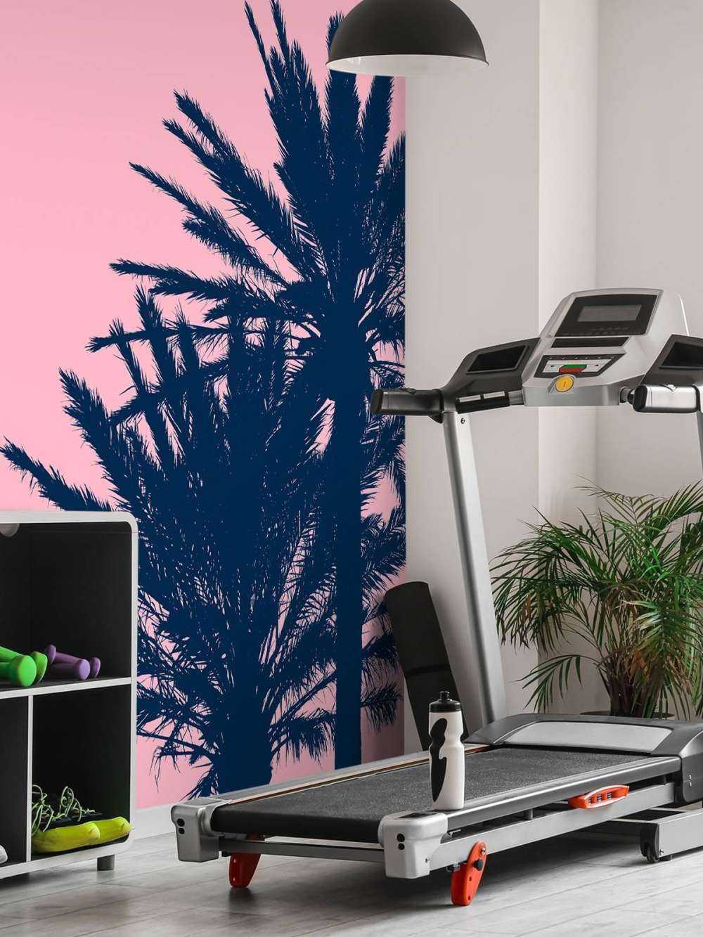 Palmer med rosa bakgrunn