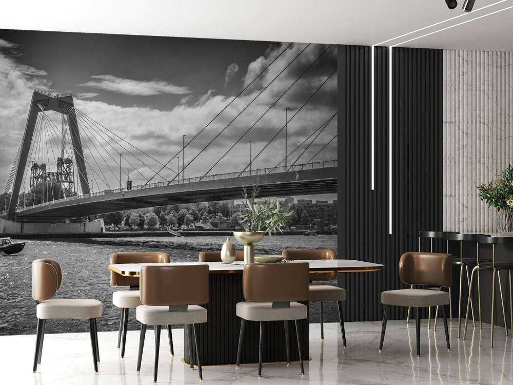 Passerer Prins Willem Alexander-broen i Rotterdam i svart-hvitt